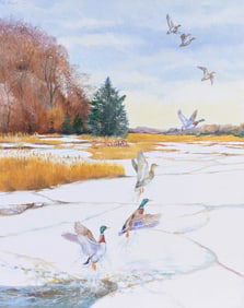 Peter Barrett (British, B. 1935) "Mallard Duck"