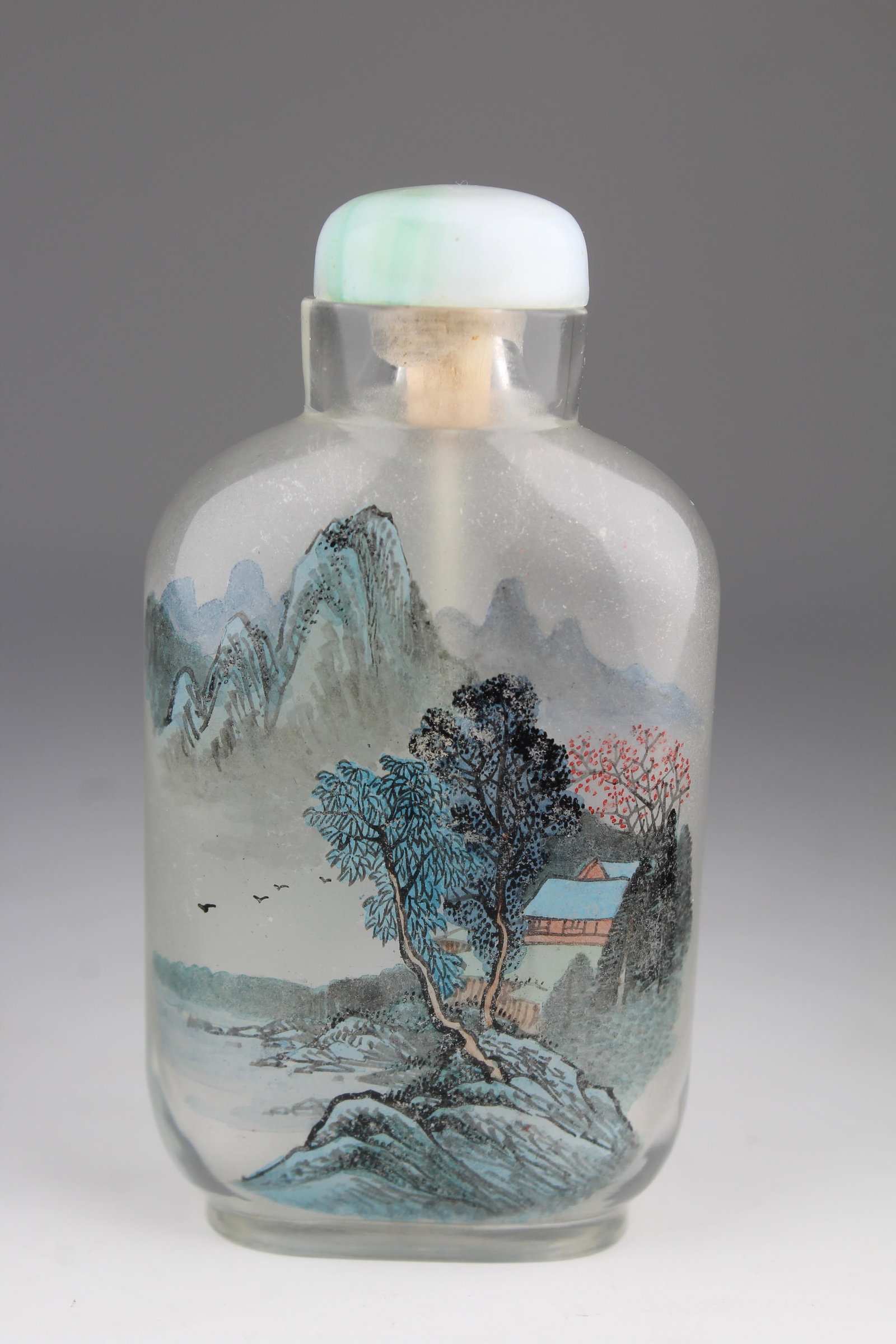 Chinese Interior Painted Glass Snuff Bottle (1 of 6)