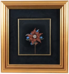 Chinese Kingfisher Crown Pin Framed
