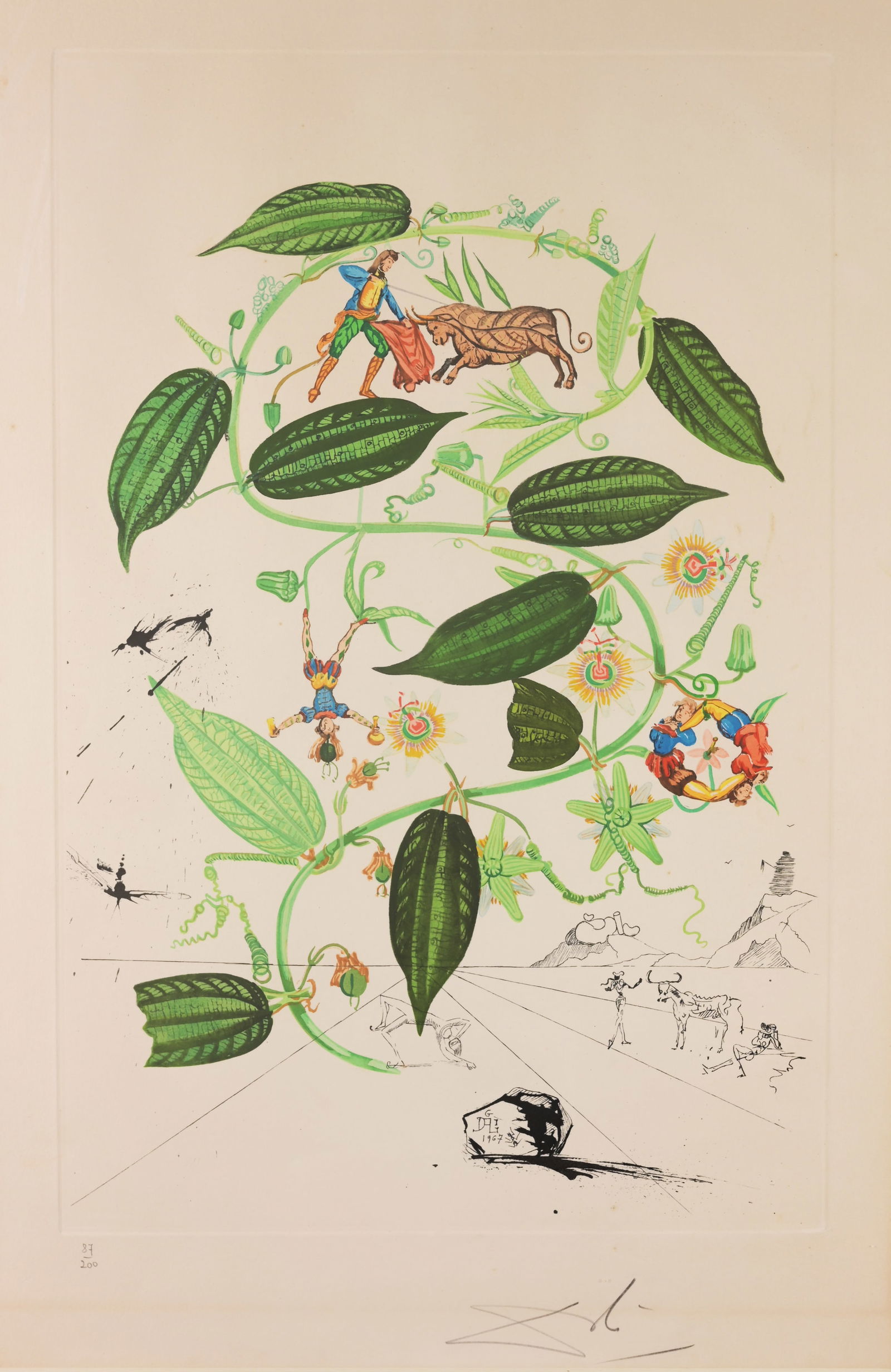 Salvador Dali (1904 - 1989) Passiflora Laurigera (1 of 6)