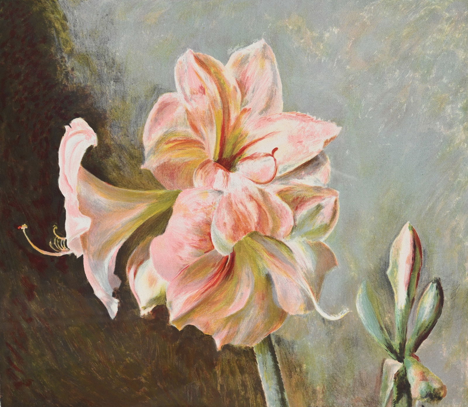 Henrietta Wyeth Color Lithograph, Pink Amaryllis (1 of 4)