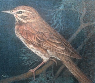 Keith Bowen (B. 1950) "Redwing Thrush"