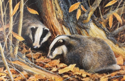 Neil Cox (b. 1955) Badgers in Wooded Landscape