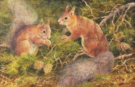 Neil Cox (b. 1955) Red Squirrels in Pine Forest
