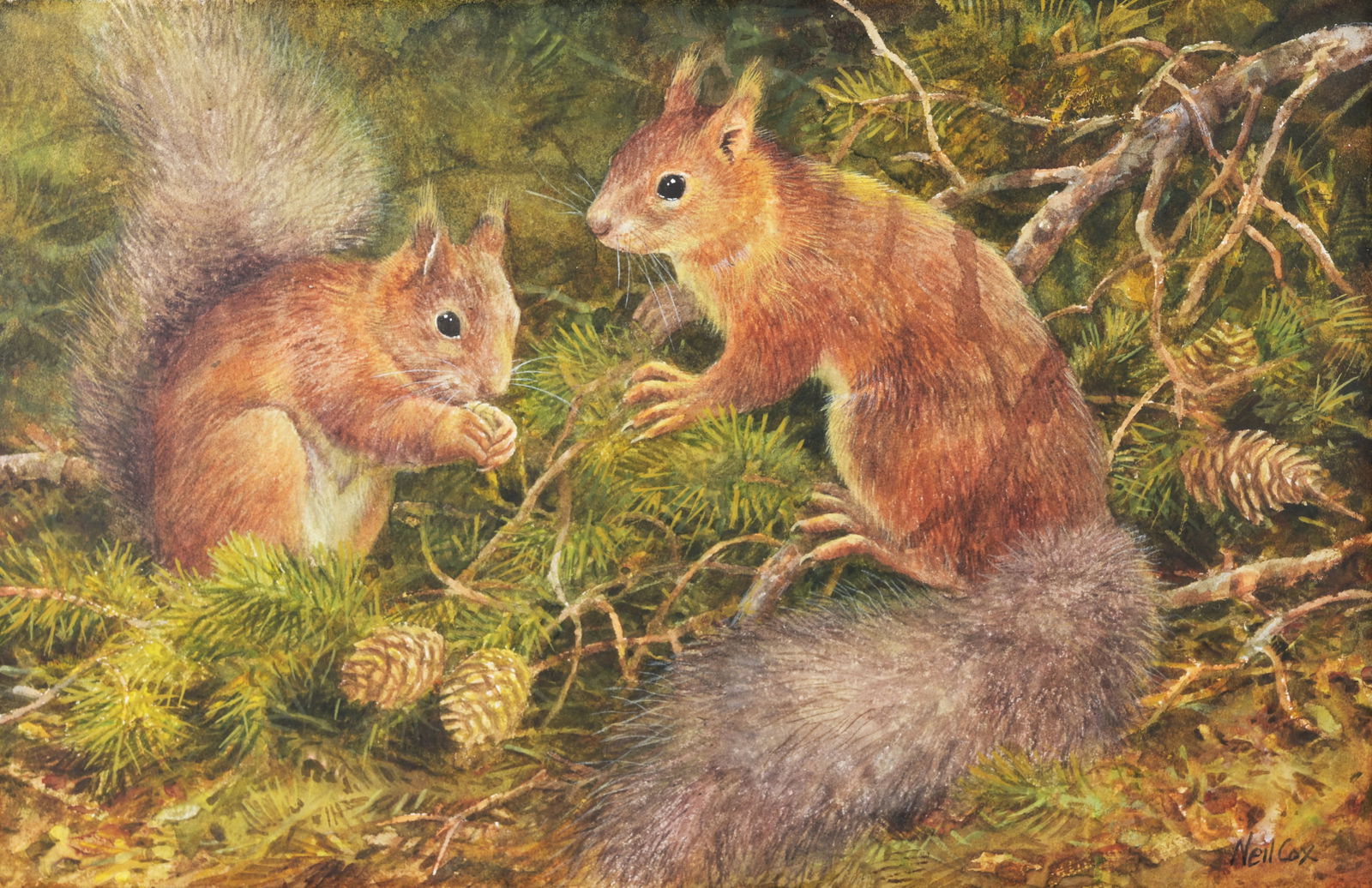 Neil Cox (b. 1955) Red Squirrels in Pine Forest (1 of 5)