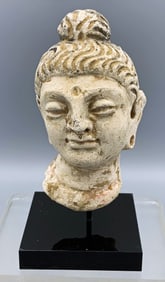 Gandharan Stucco Head - the Indus Valley