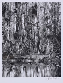 Clyde Butcher - "Loosecrew Gator"