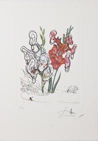 Salvador Dali - Gladiolus