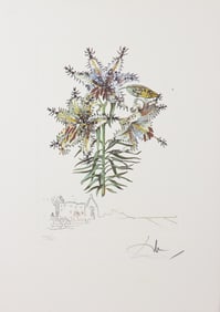 Salvador Dali - Lily Chapelle