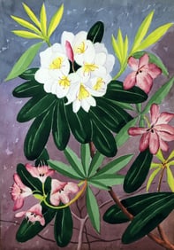 Paul De Longpre (French, 1855 - 1911)