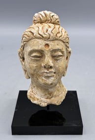 Gandharan stucco head - Indus Valley