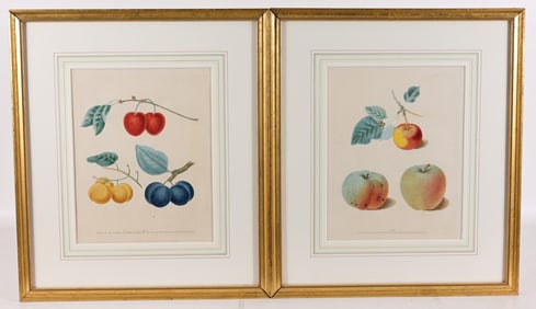 (2) George Brookshaw - Fruit Prints