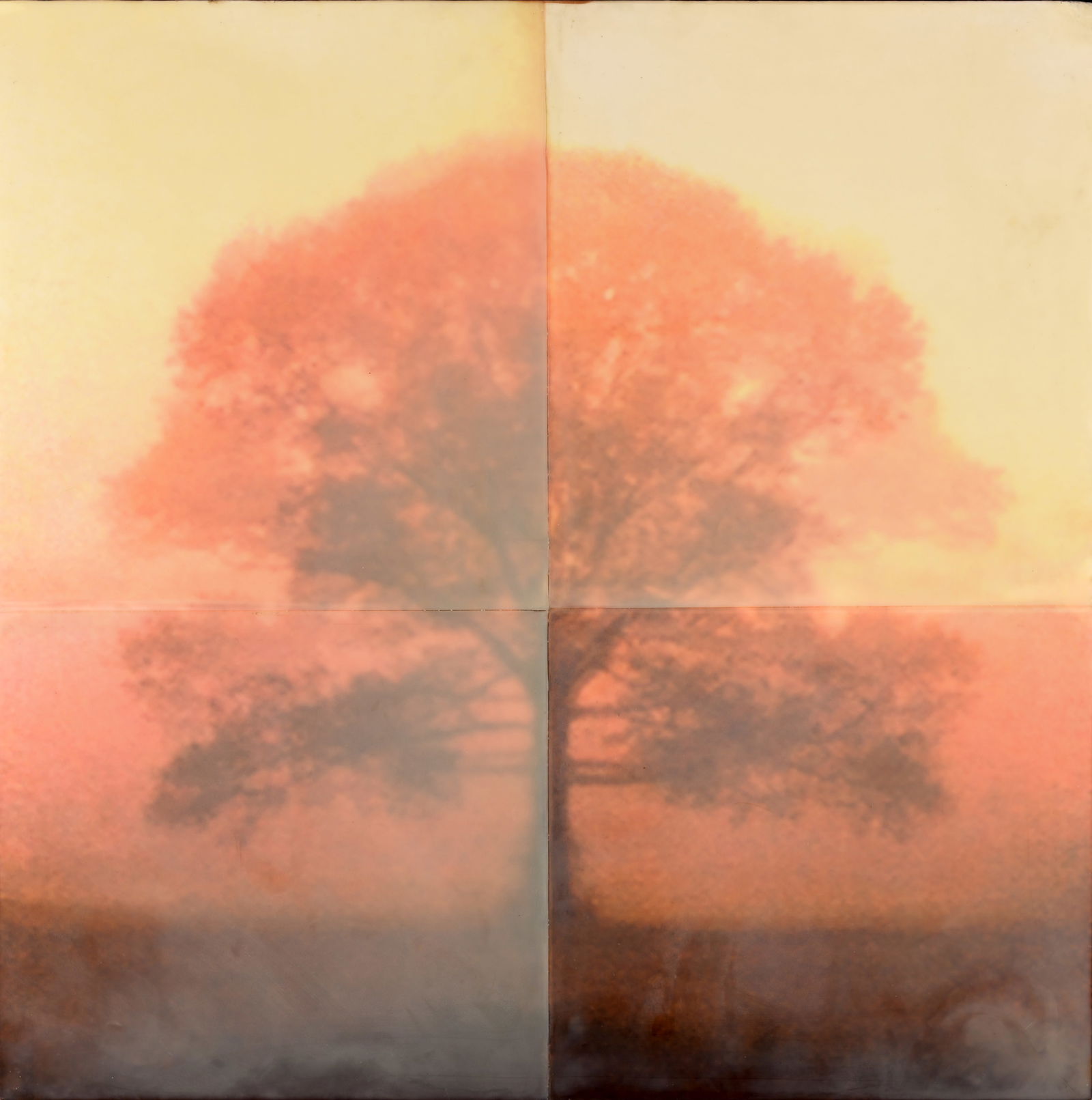 Tom Brydelsky - "Burst" - 2002: Tom Brydelsky (American, b. 1957) "Burst" - 2002 Encaustic on Found Photograph on Panels. Provenance: purchased from Allyn Gallup Galleries (2010) Sight Size: 24 x 24 in. Overall Framed Size: 25.5 x 2