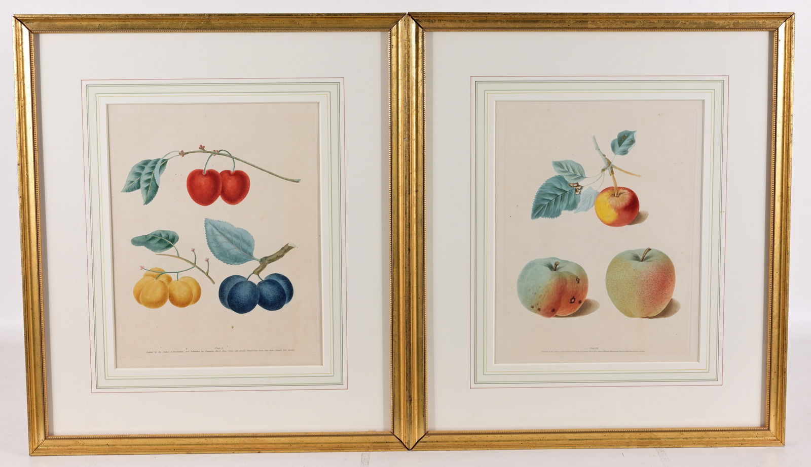 (2) George Brookshaw - Fruit Prints (1 of 8)