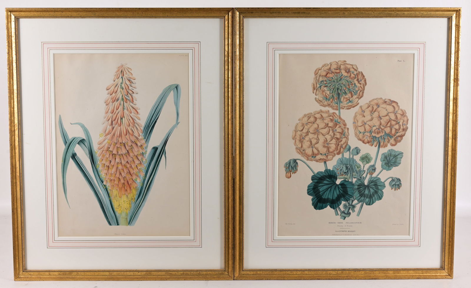 (2) Edward Henderson - Floral Lithographs (1 of 7)
