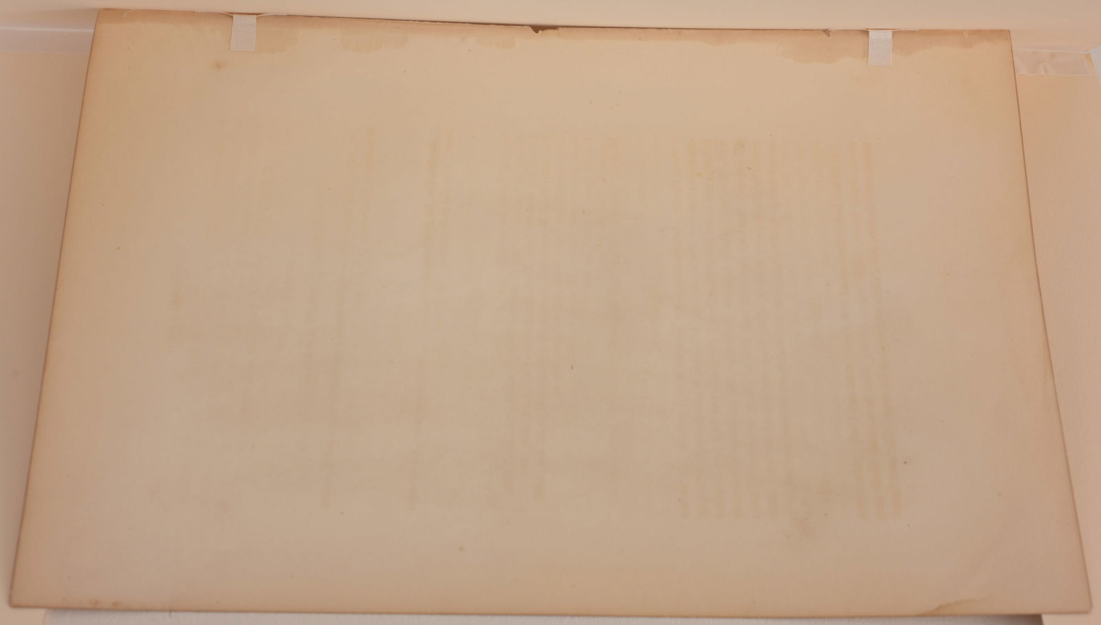 (3) Audubon - Hand-Colored Lithographs - 10