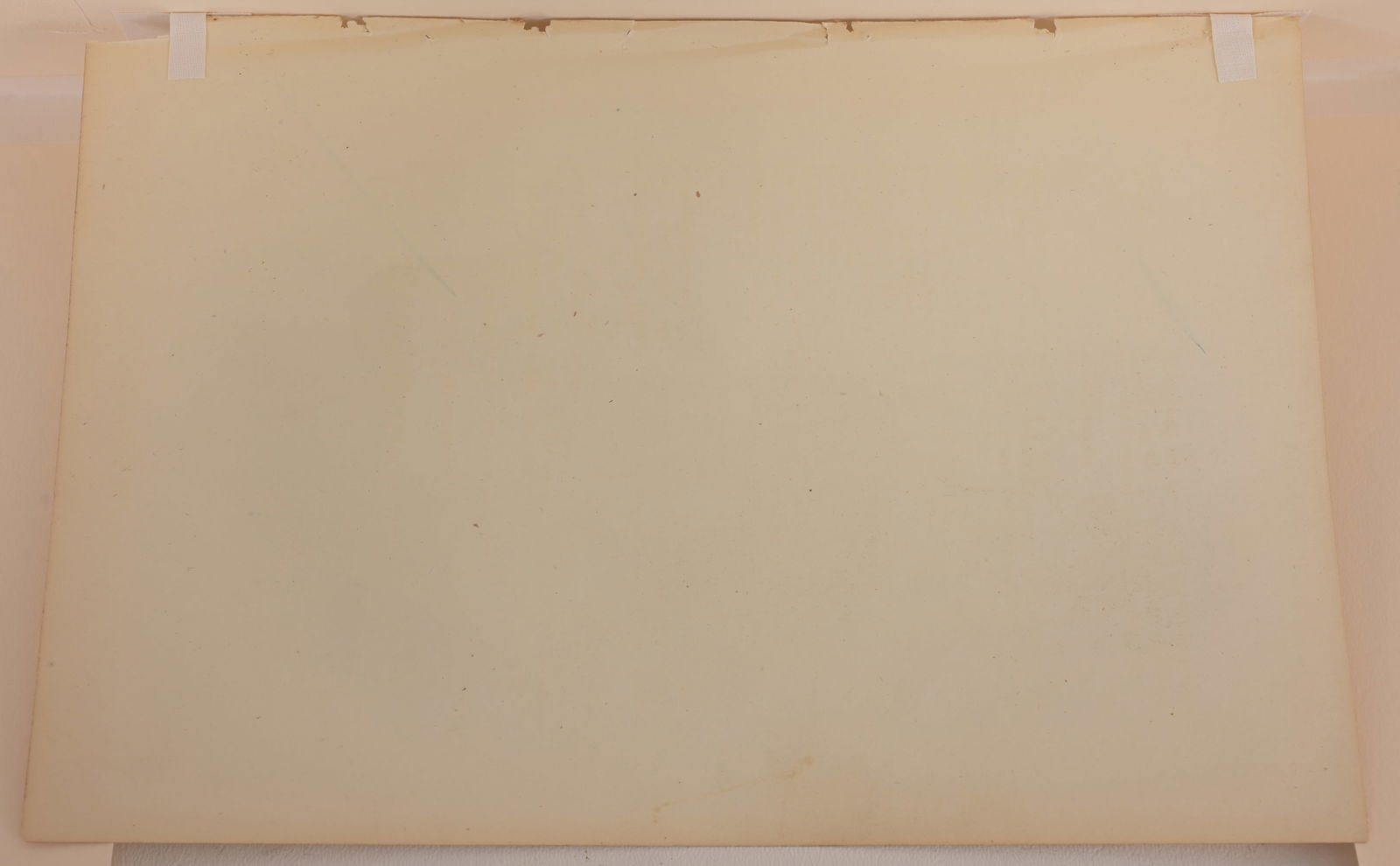 (3) Audubon - Hand-Colored Lithographs - 4