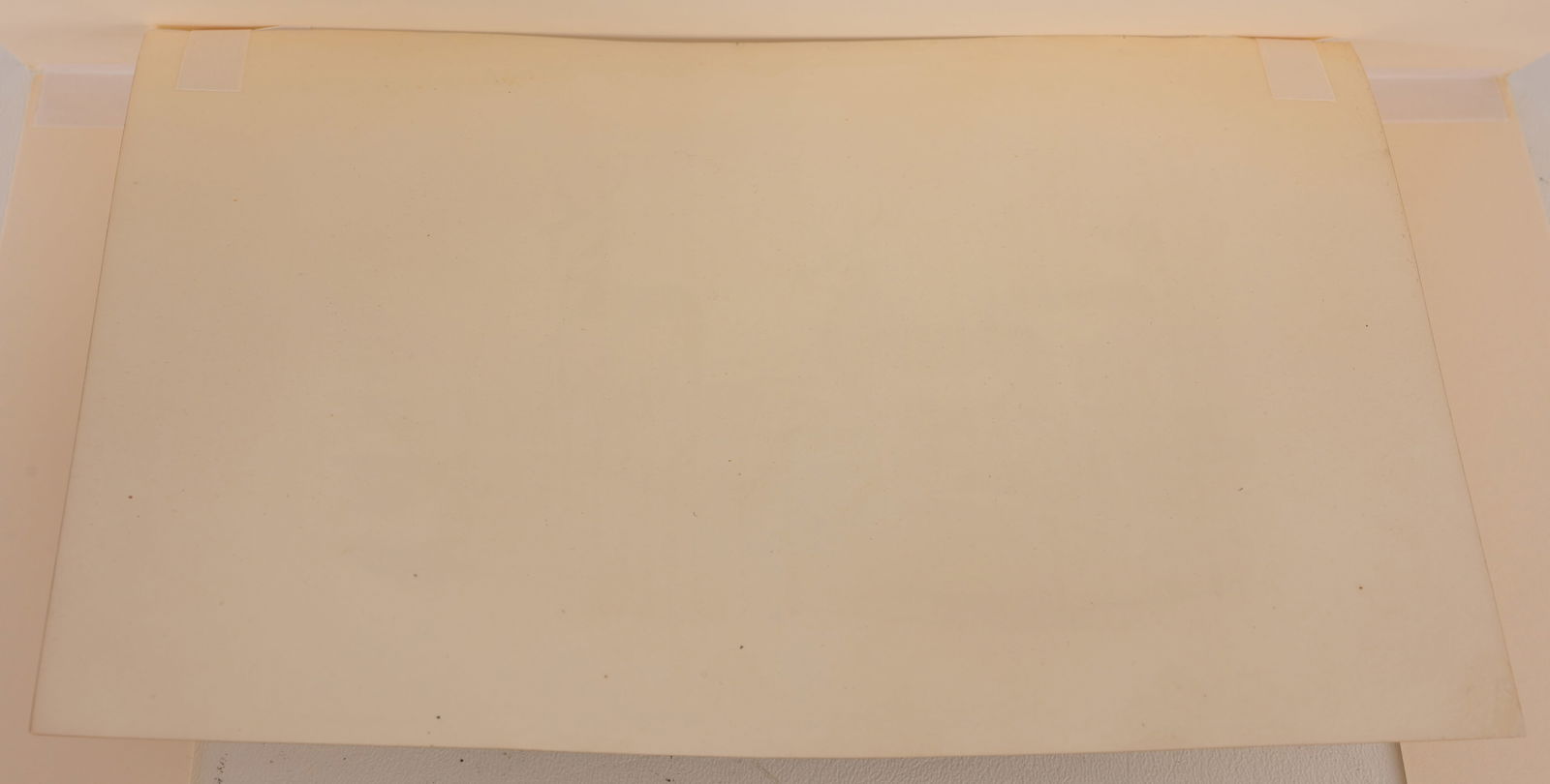 (3) Audubon - Hand-Colored Lithographs - 7