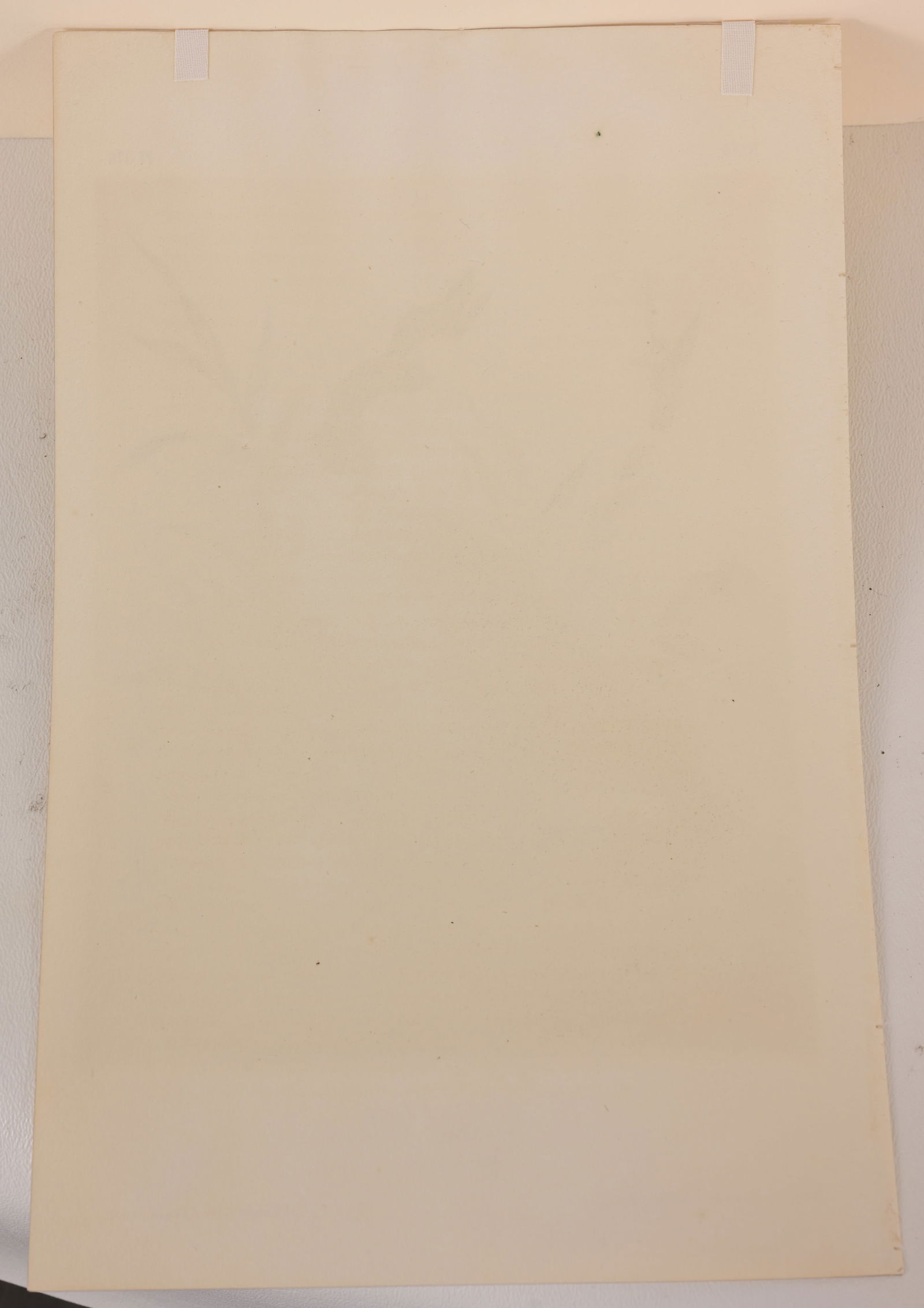 (2) Audubon - Hand-Colored Lithographs - 4