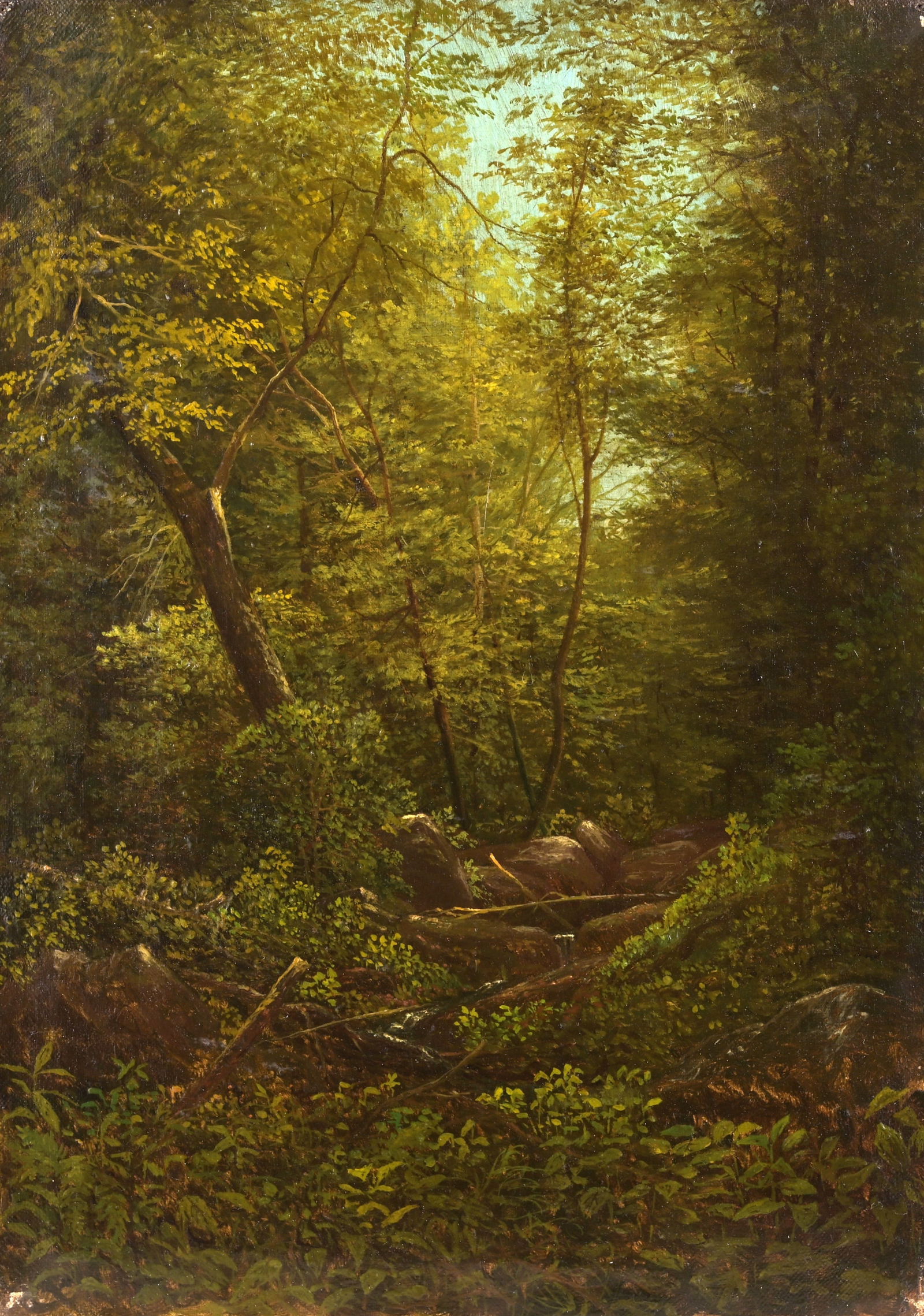 19th C. American School Wooded Landscape Painting (1 of 7)