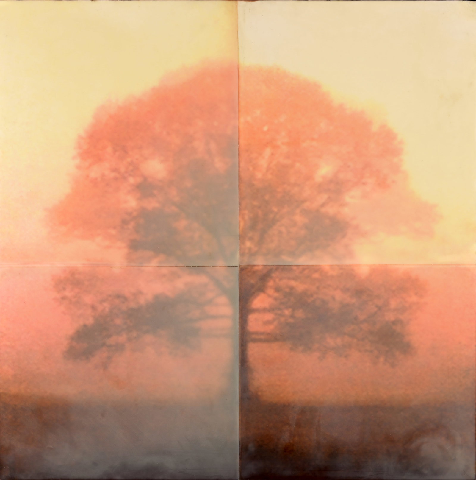 Tom Brydelsky - "Burst" - 2002: Tom Brydelsky (American, b. 1957) "Burst" - 2002 Encaustic on Found Photograph on Panels. Provenance: purchased from Allyn Gallup Galleries (2010) Sight Size: 24 x 24 in. Overall Framed Size: 25.5 x 2