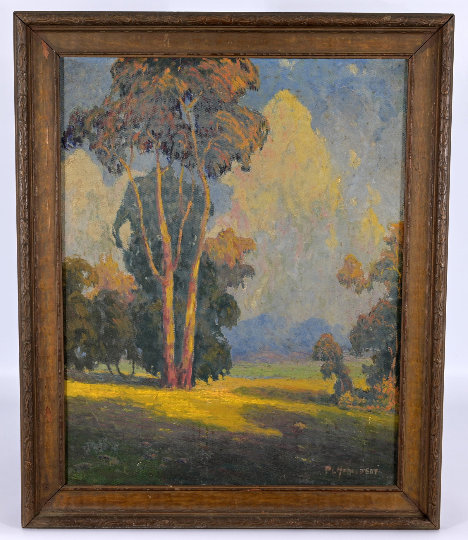 Early 20th C. California School Landscape, Signed: Early 20th C. California School Landscape, Signed indistinctly lower right. Oil on Canvas. Inscribed verso on canvas. Sight Size: 20 x 16.25 in. Overall Framed Size: 23.75 x 19.5 in.