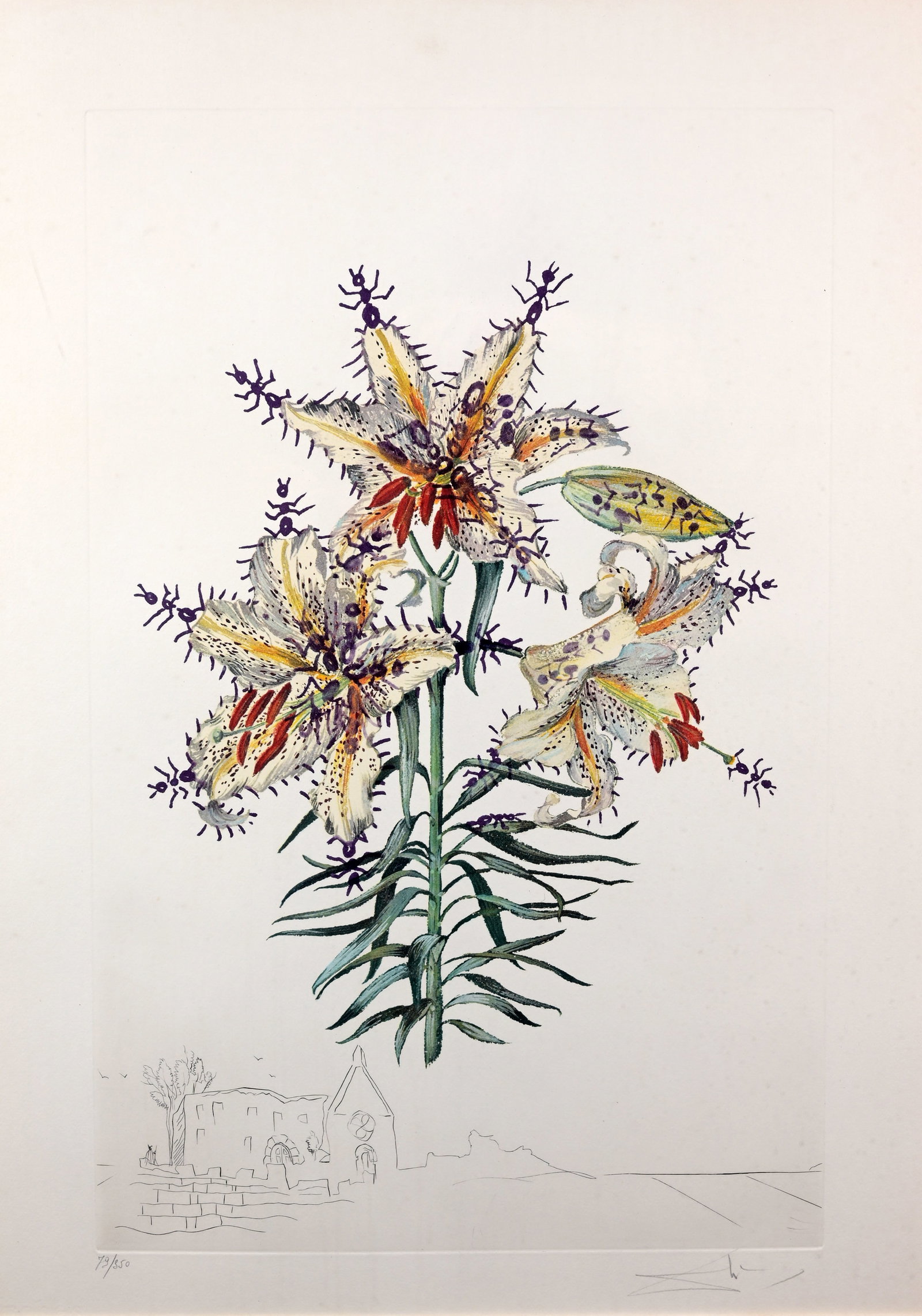 Dali - Lilium Auratium Formicans: Salvador Dali (Spanish,1904 - 1989) Pencil signed and numbered (79/350) lower margin. Impression Size: 23.25 x 15 in. Overall Framed Size: 39 x 31.5 in. Framed behind glass.