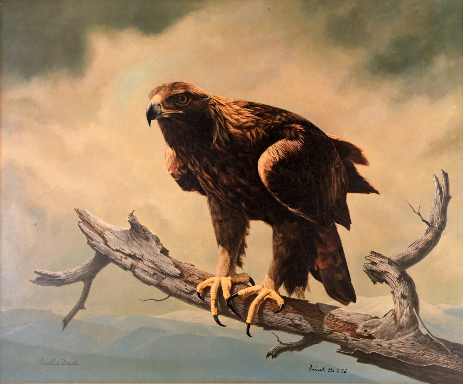 Charles Frace - "Golden Eagle": Charles Frace (American, 1926 - 2005) "Golden Eagle" Color Print. Pencil signed lower left. Sight Size: 23 x 27.75 in. Overall Framed Size: 35.25 x 40.25 in. Framed behind glass.
