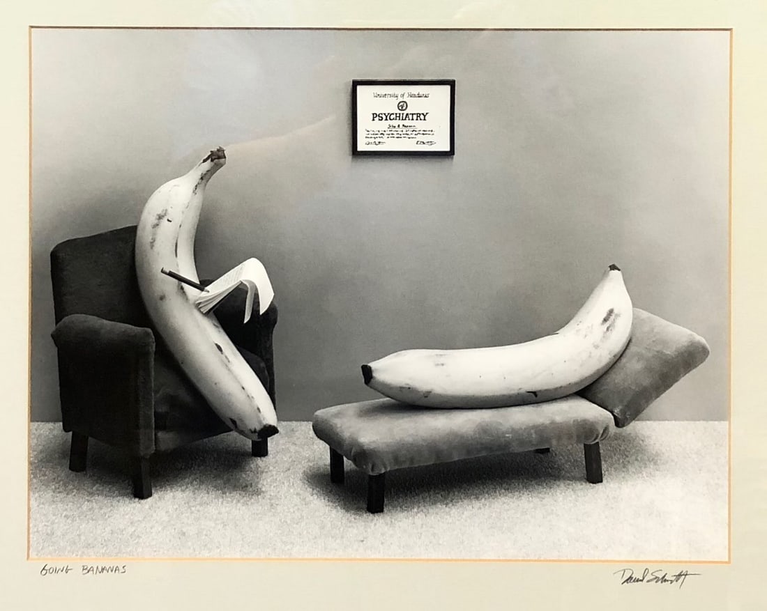 David Schmidt - "Going Bananas" - 2