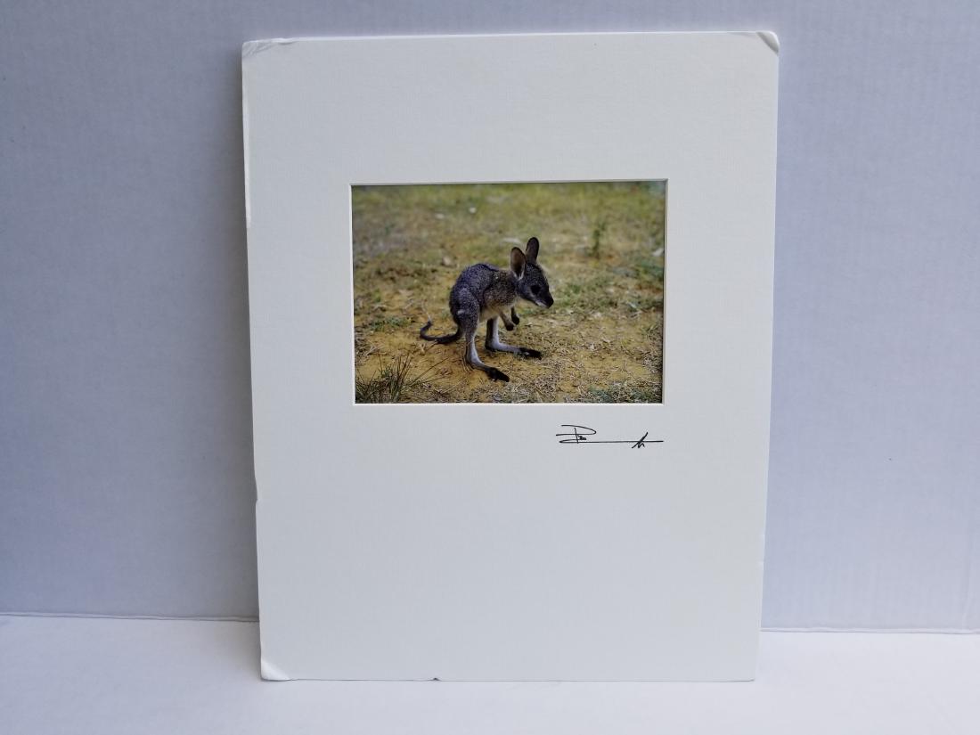 Original Peter Lik Photo (1 of 3)