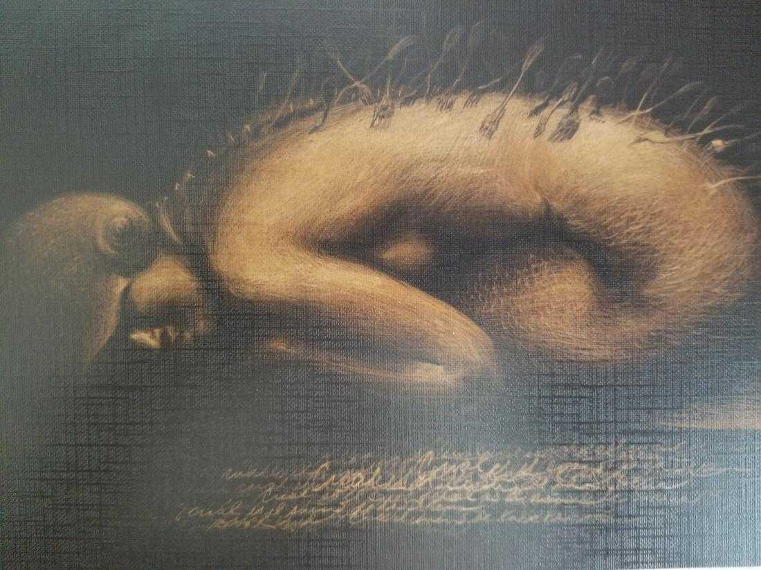 Fabelo High Quality Printing (1 of 1)