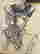 item-108039227=5