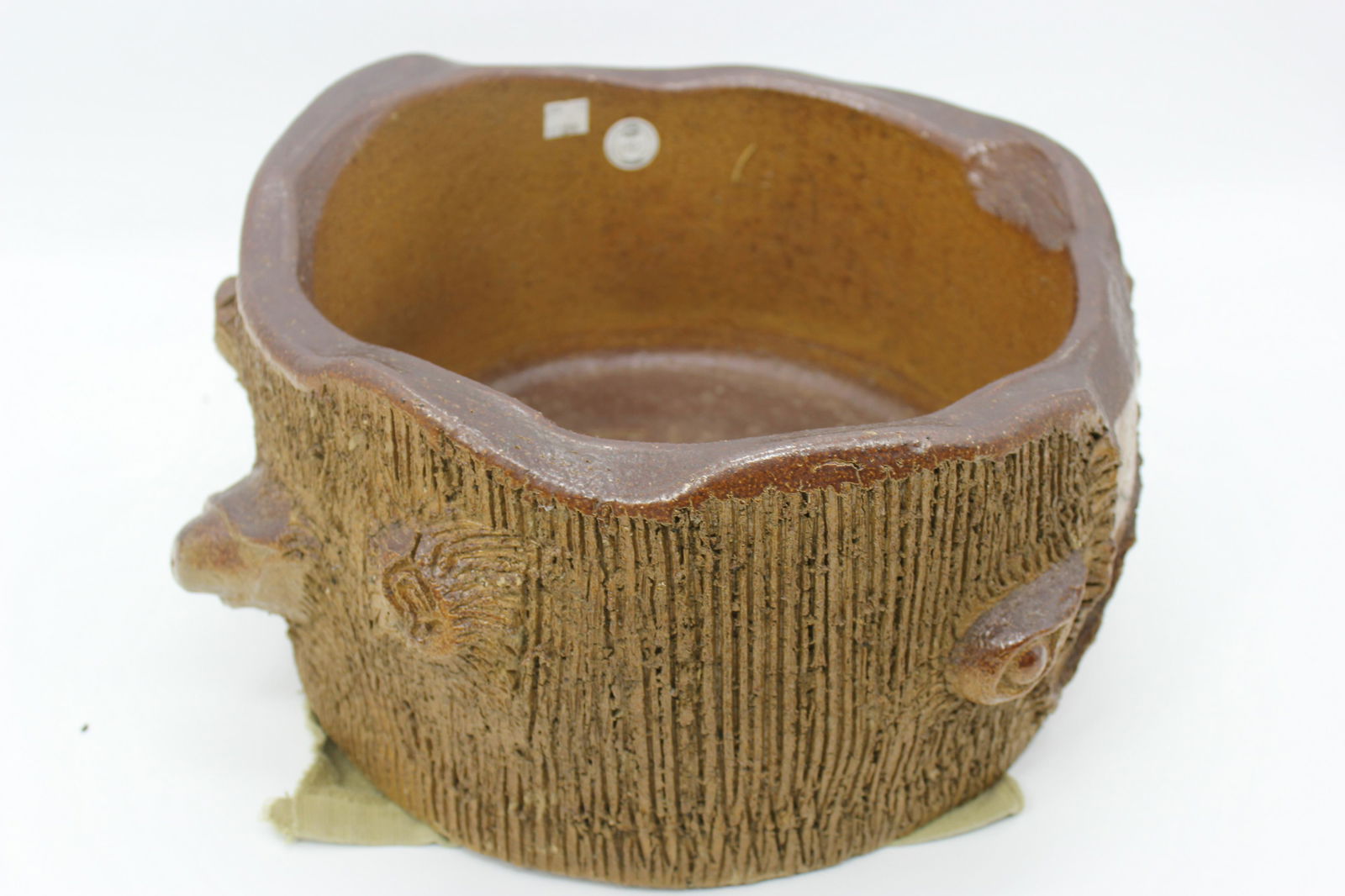 Tree Stump Flower Pot (1 of 7)