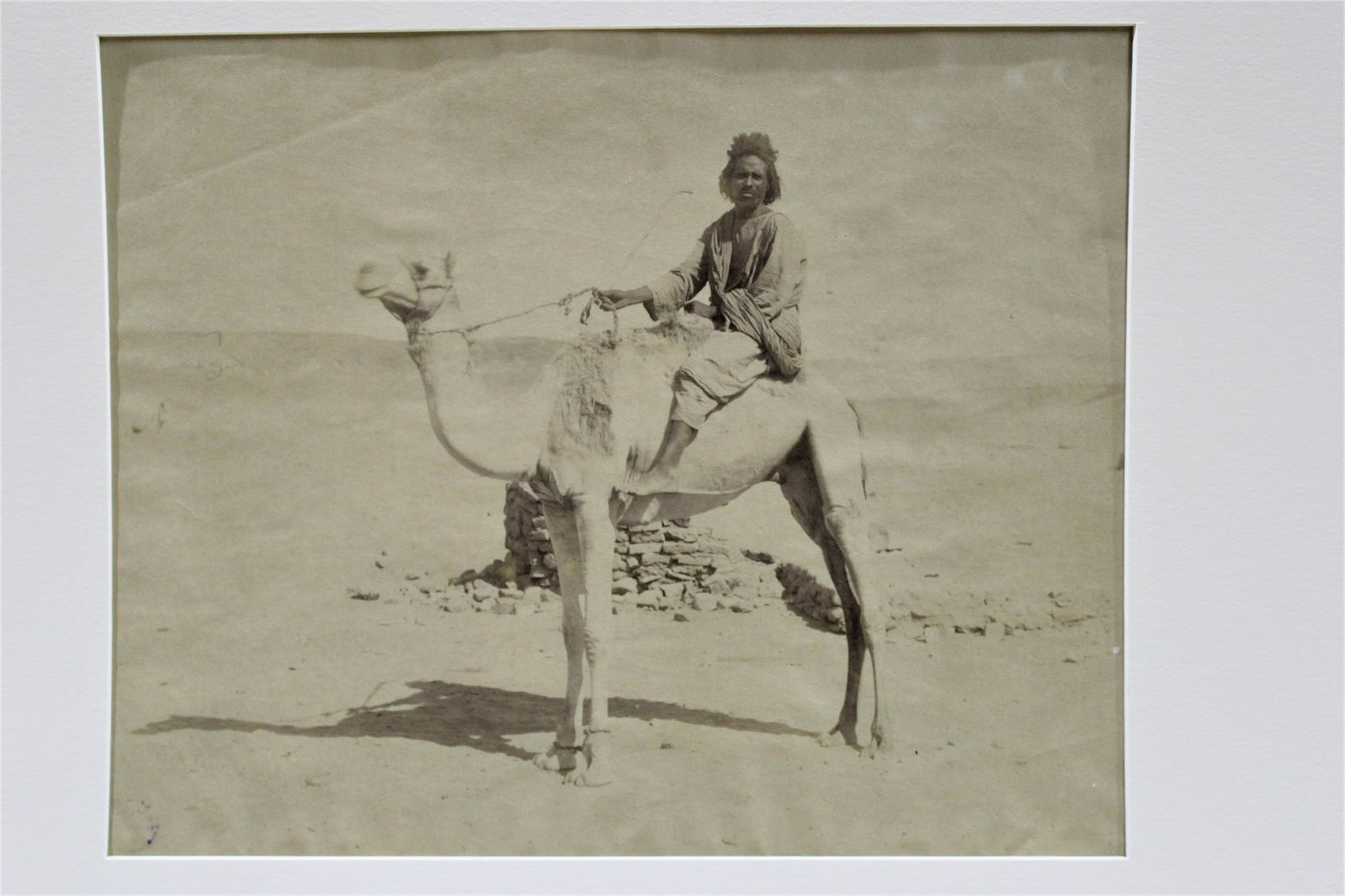 Jean Pascal Sebah Photograph - Man on Camel (1 of 6)