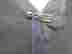 item-129067082=4