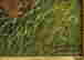 item-131360189=2