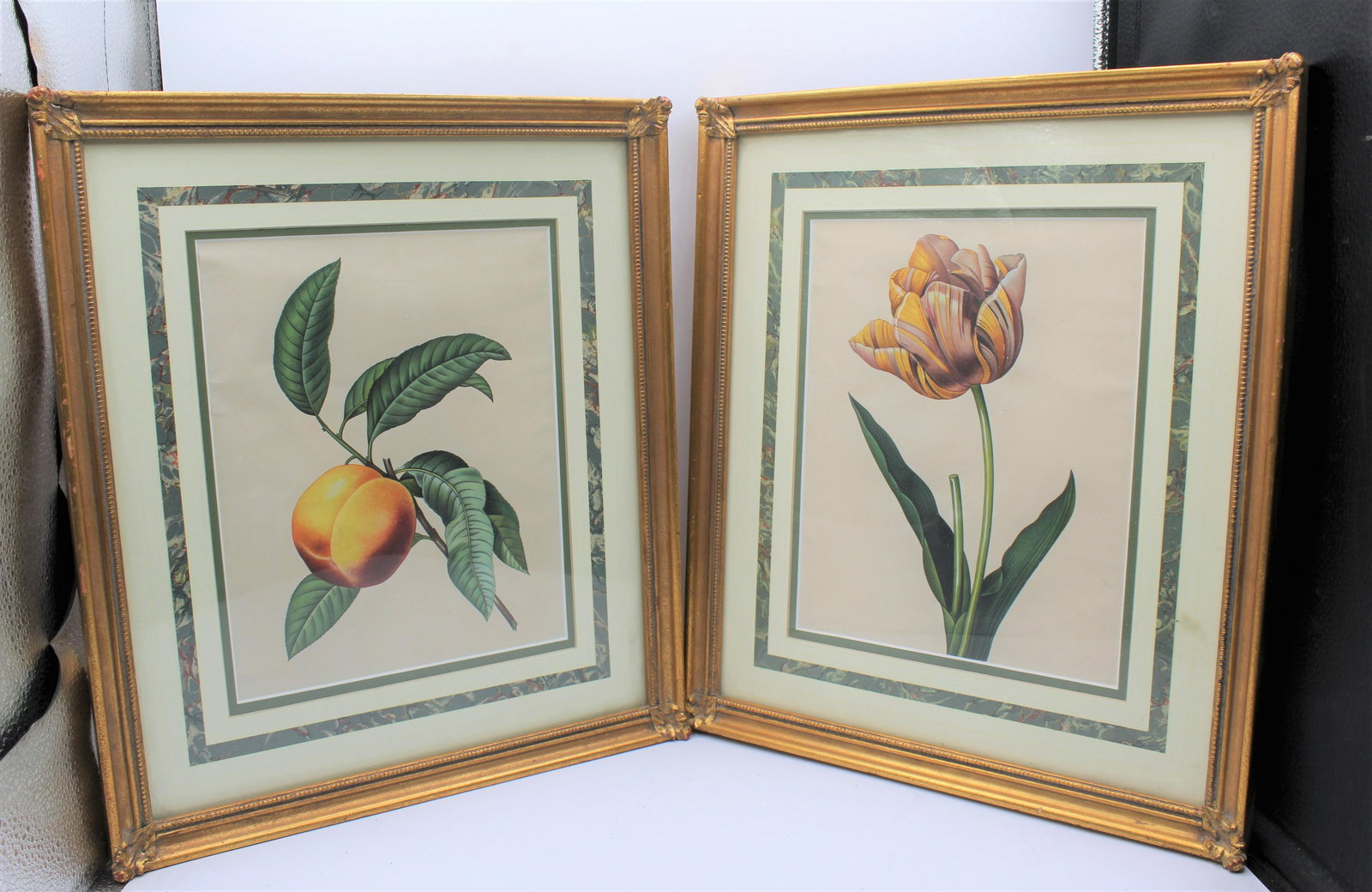 19th Century Pierre-J Redoute Engravings (after) (1 of 10)