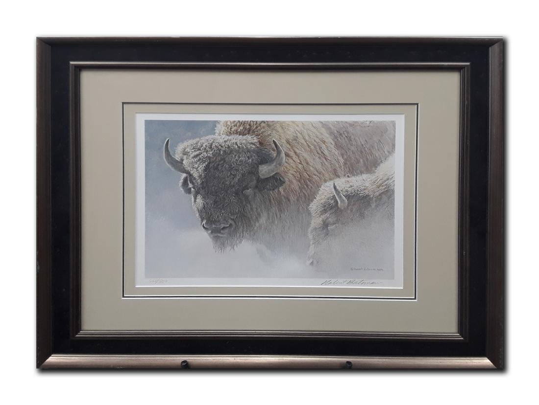 Robert Bateman's "Wood Bison Portrait" Limited Edition (1 of 3)