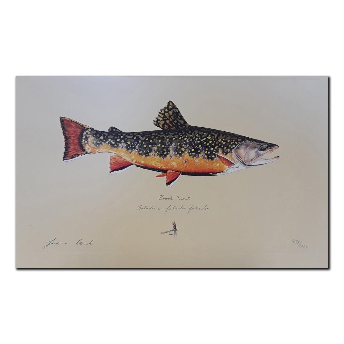 James Prosek's "Brook Trout" limited edition print