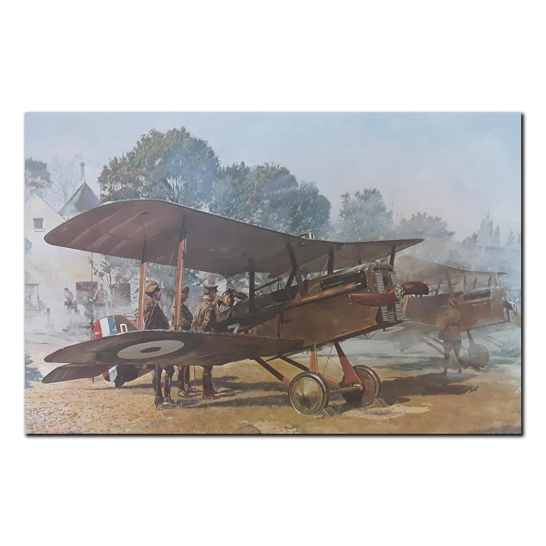 Early Morning OPSJim Dietz's "Early Morning OPS" (1 of 1)