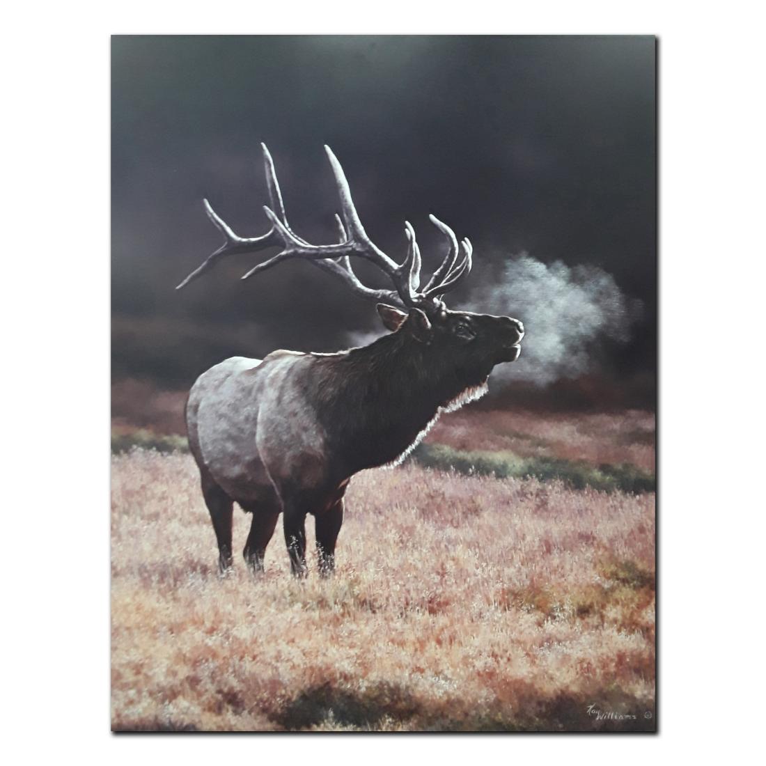 Kay Williams' "Meadow Music" limited edition print (1 of 1)