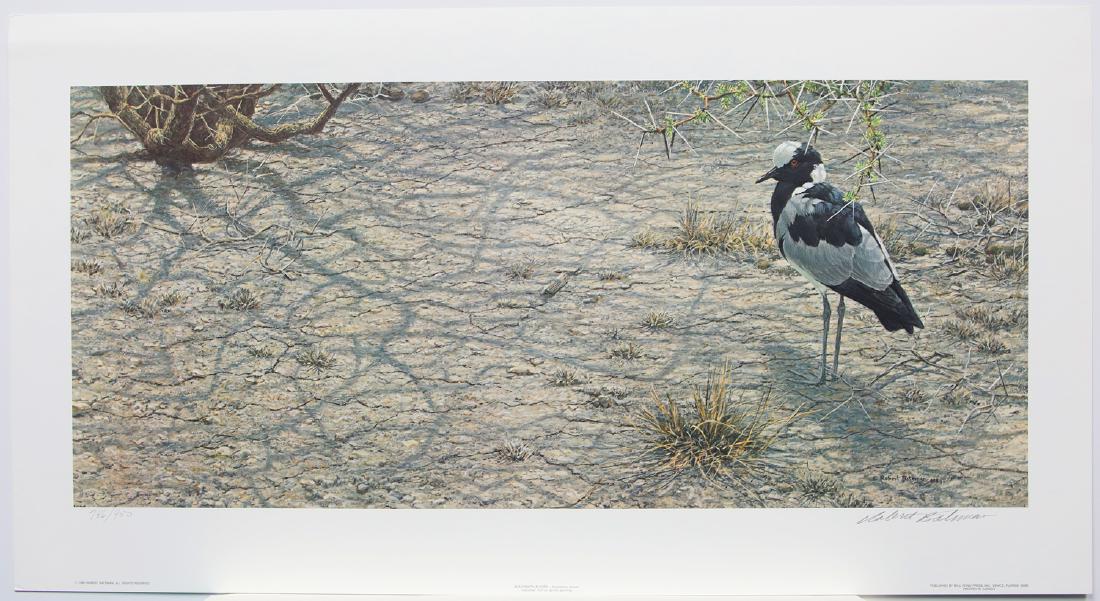 Robert Bateman's "Blacksmith Plover" Limited Edition (1 of 1)