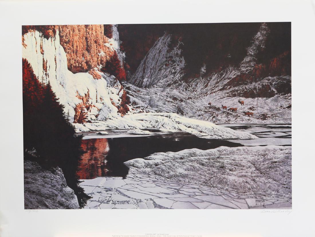 Donald Curley's "Canyon Light" Limited Edition Print: Donald Curley's "Canyon Light" limited edition print signed and numbered 117/500. This print is in excellent condition and has never been framed. Image- 19 1/2" x 28 1/4"