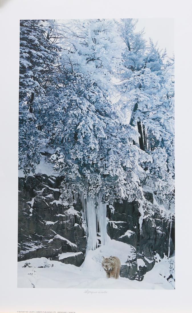 David Ward's "Algonquin Winter" Open Edition Print: David Ward's "Algonquin Winter" open edition print. 26" x 15"