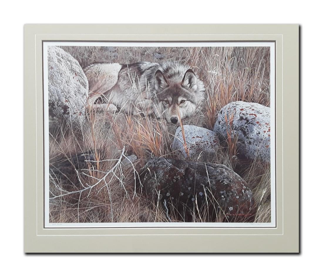 Carl Brenders' "One To One- Gray Wolf" Limited Edition (1 of 3)