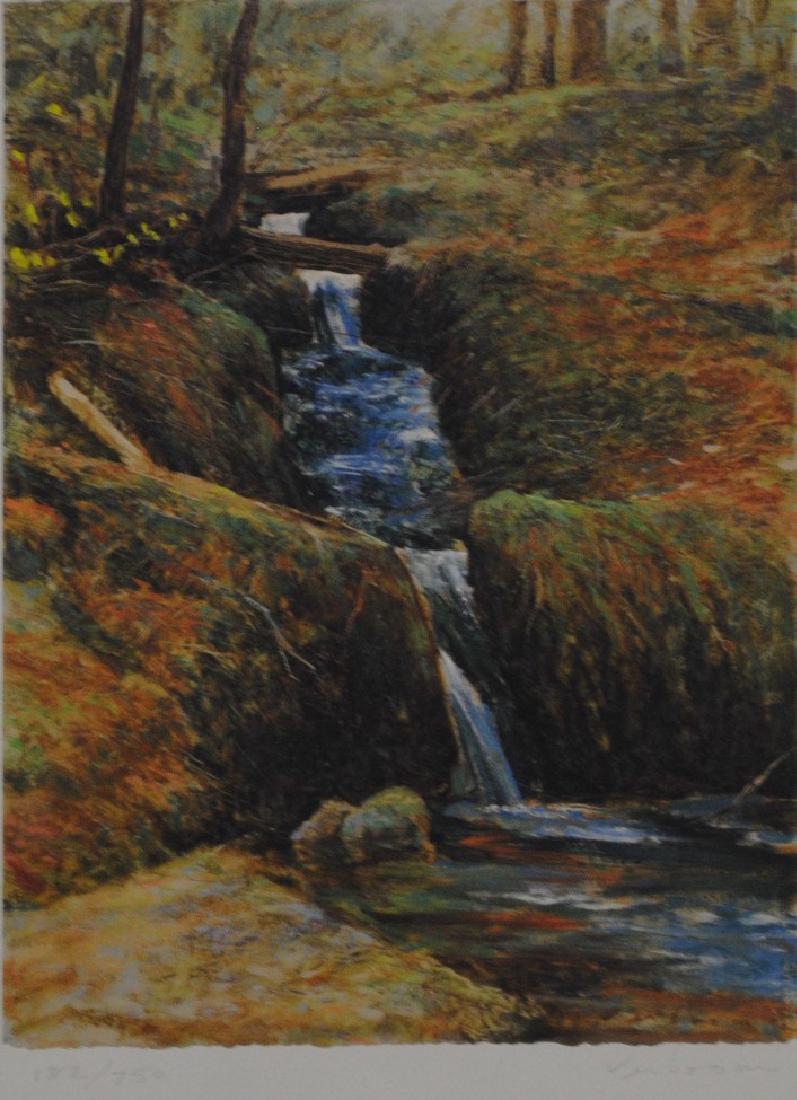 Claude Verboom's "Waterfall" Limited Edition Print: Claude Verboom's "Waterfall" limited edition print signed and numbered 182/750. This print is in excellent condition and has never been framed. Image- 14" x 10 1/4"