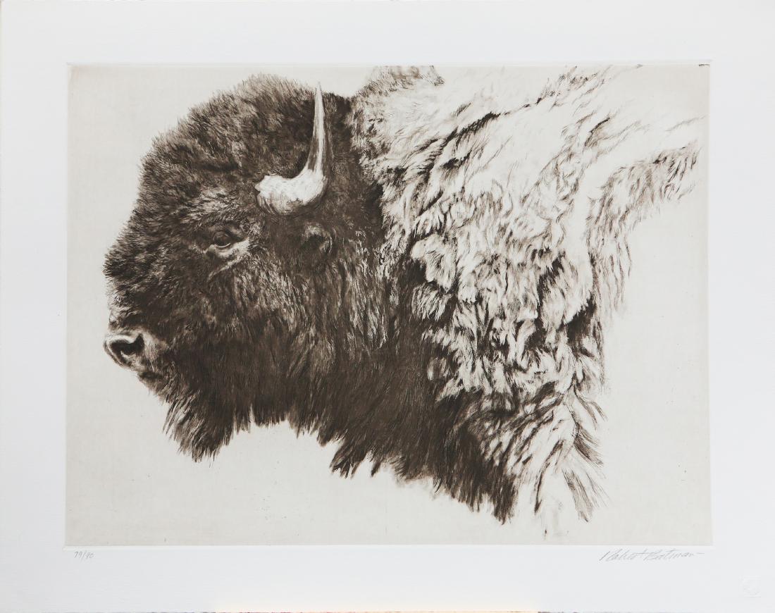 Robert Bateman's "Bison Head" Limited Edition Original (1 of 1)