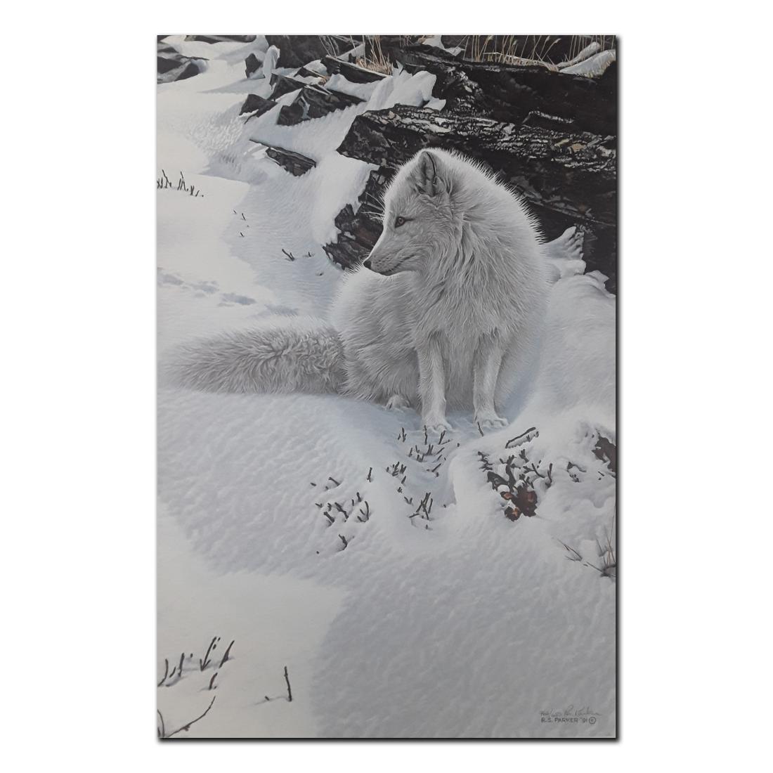 Ron Parker's "Blue Shadows- Arctic Fox " limited (1 of 2)
