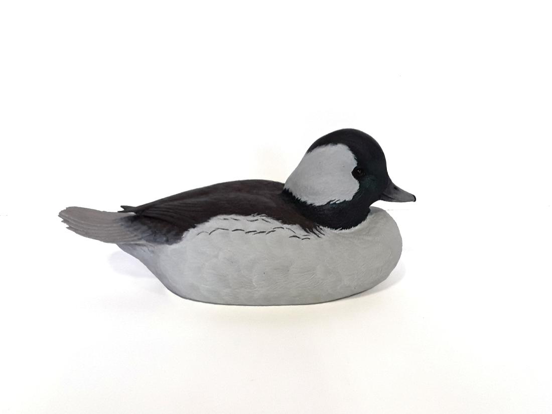 Tony Bendig's Bufflehead Duck Carving (1 of 3)