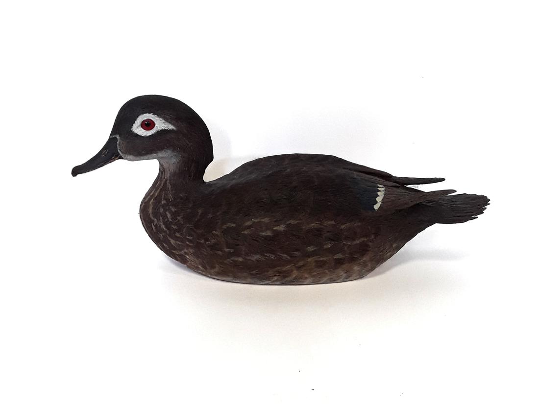 Tony Bendig's Female Duck Carving (1 of 4)